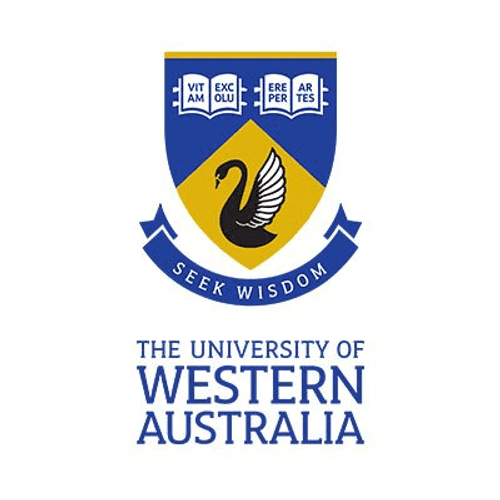 University Partner 31